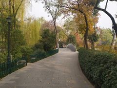 -莲湖公园