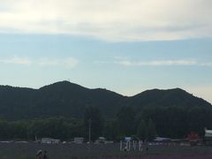 -北京东方普罗旺斯薰衣草庄园