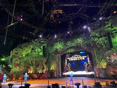 -广州长隆国际大马戏