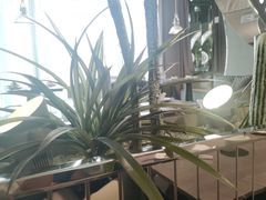 -3号仓库·创意中国菜(乐清正大广场店)