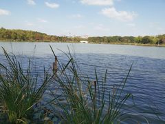 -昆山城市生态森林公园