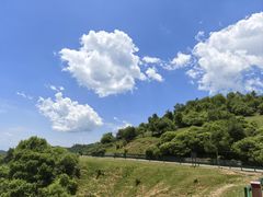 -关山草原