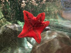 -沈阳海洋探索中心