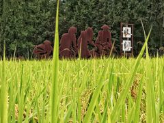 -北坞公园