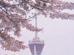 -红星桥(地铁站)