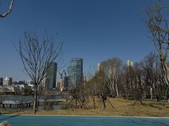 -后襄河公园