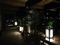 -三江森林温泉度假区