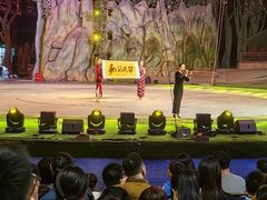 -灵玲国际马戏城