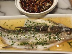 -京城小江南·北京烤鸭·江南土菜·白鱼(中关村店)