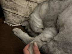 -隅cafe(傅厚岗店)