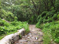 -阳台山自然风景区