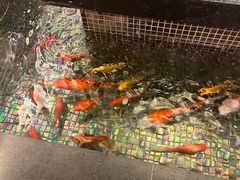 -汤泉良子.足疗按摩.SPA(中关村店)