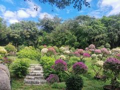 -三亚蜈支洲岛旅游区