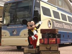 -奥兰多迪士尼动物王国乐园