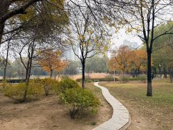 -北京新世纪妇幼医院·产检·分娩·计生(望京院区)