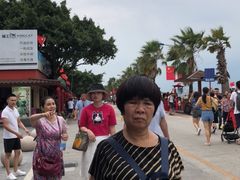 -大湾区中央湿地公园-十九涌