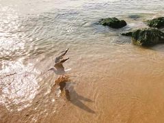 -海云台海滩
