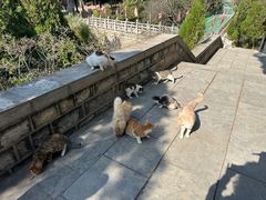 -四门塔风景区