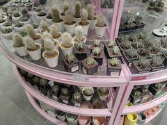 -KKV(深圳宏发大仟里店)