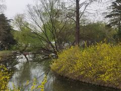 -上海滨江森林公园