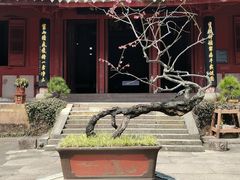 -宁波市保国寺古建筑博物馆