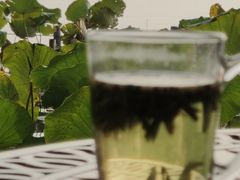 -湖畔居茶楼(湖滨店)