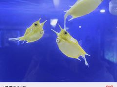 -大连圣亚海洋世界