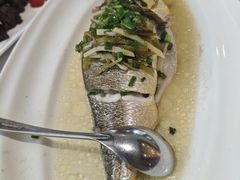 -老洋房花园饭店(绍兴路店)