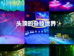 -武汉杂技厅