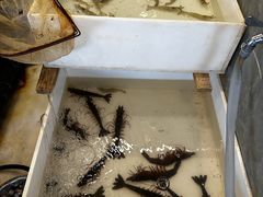 -江南福宴·澳门海鲜.牛肉火锅(汇高栢悦中心店)
