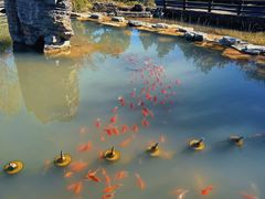 -茅山东方盐湖城景区