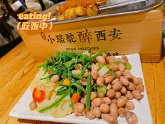 -福苗小骆驼烧烤(莲湖路店)
