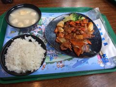 -雨林餐厅(长隆海洋王国店)