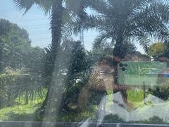 -桃园农庄·桃源宴