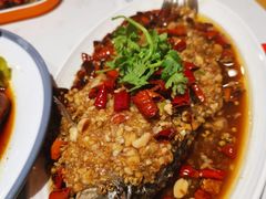 -杨氏青龙虾·羊蝎子(托乐嘉店)
