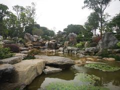 -东莞植物园