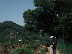 -十里琅珰