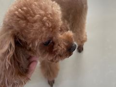 -宠颐生中康贝怡动物医院