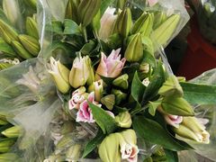 -循礼门鲜花花市(武汉循礼门店)