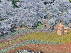-苏州上方山国家森林公园