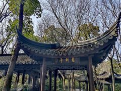 -上海佘山国家森林公园天马山园