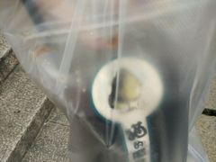 -猫的魔法密林(衣裳街店)