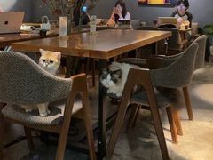 -咖法森林·咖啡  酒吧(天河店)