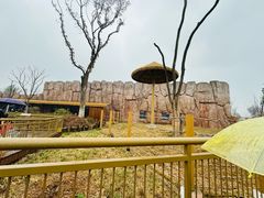 -武汉动物园