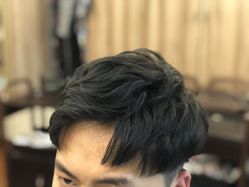 -藤野造型