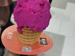 -野人先生现做冰淇淋(西安赛格店)