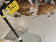 -平行世界·猫咖(首经贸店)