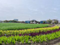 -鹦鹉洲湿地公园