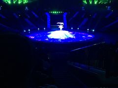 -珠海横琴长隆《卡卡虎奇遇记》