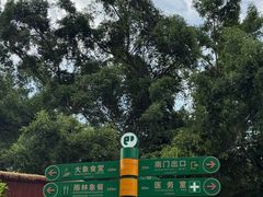 -野象谷景区